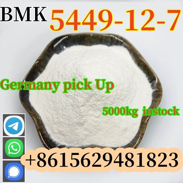 High Quality Glycidic Acid (Sodium Salt) BMK CAS 5449-12-7 Powder