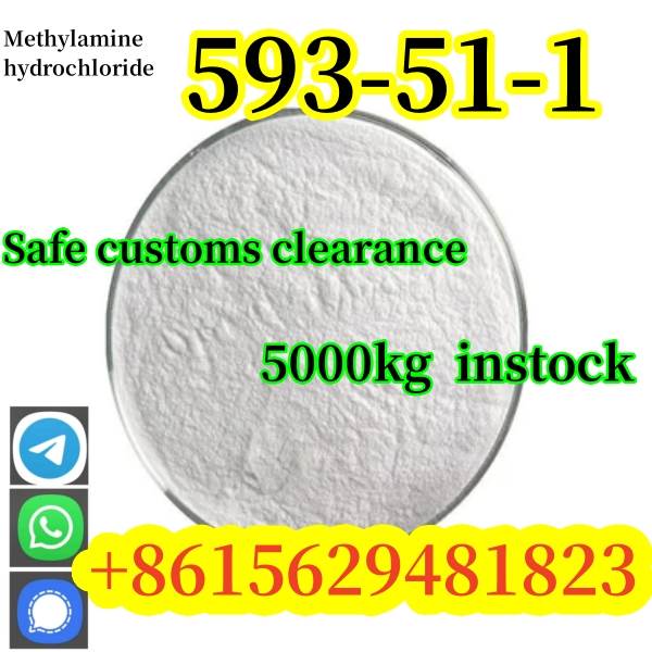 Factory Price CAS 593-51-1 Methylamine Hydrochloride Safe Customs Clearance