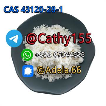 Top Quality CAS 43120-28-1 Good Price 1H-Indazole-3-Carboxylic Acid Methyl Ester with Other Material