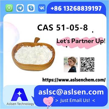 CAS 51-05-8 procaine hcl