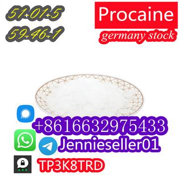 hot sale Procaine base CAS 59-46-1 /51-05-8 / procaine hcl and base in spot stock 