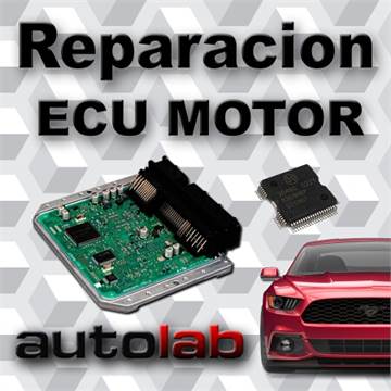 Venta Reparación de ECU Computadoras Automotrices 