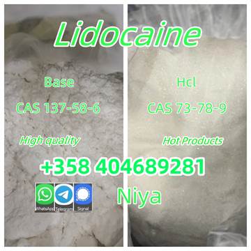 CAS 137-58-6 Lidocaine Factory Supply High Purity Safe Delivery