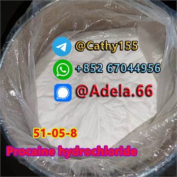   51-05-8 	Procaine hydrochloride